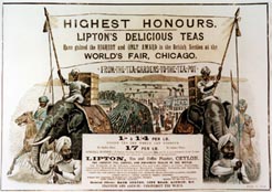 ‘Highest Honours - Lipton's Delicious Teas Have gained the Highest and Only Award in the British Section at the World's Fair, Chicago’. Advertisement c1894.