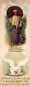 The Belle of Lipton’s Dambatenne Ceylon Tea Gardens. c1904.
